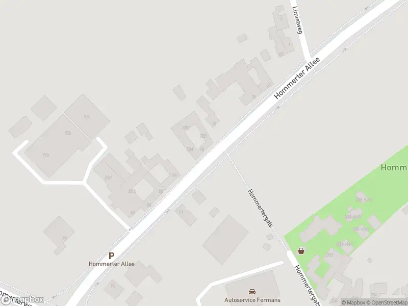 Overlastmelding Hommerter Allee in Amstenrade