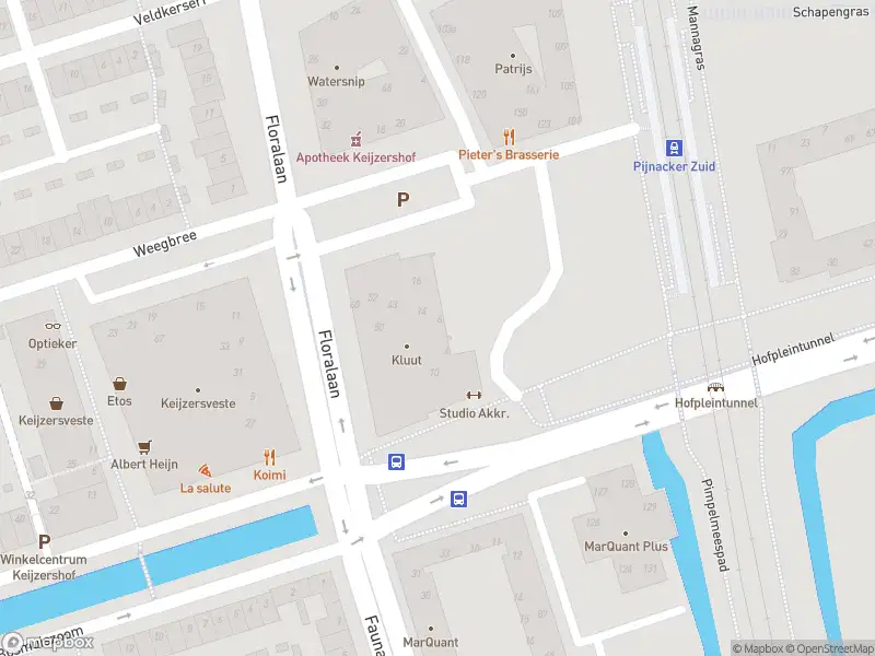 Ambulance met grote spoed naar de Raaigras in Pijnacker