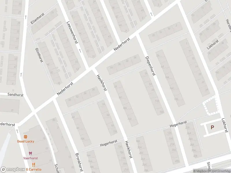 Ambulance met grote spoed naar de Havikhorst in Rotterdam