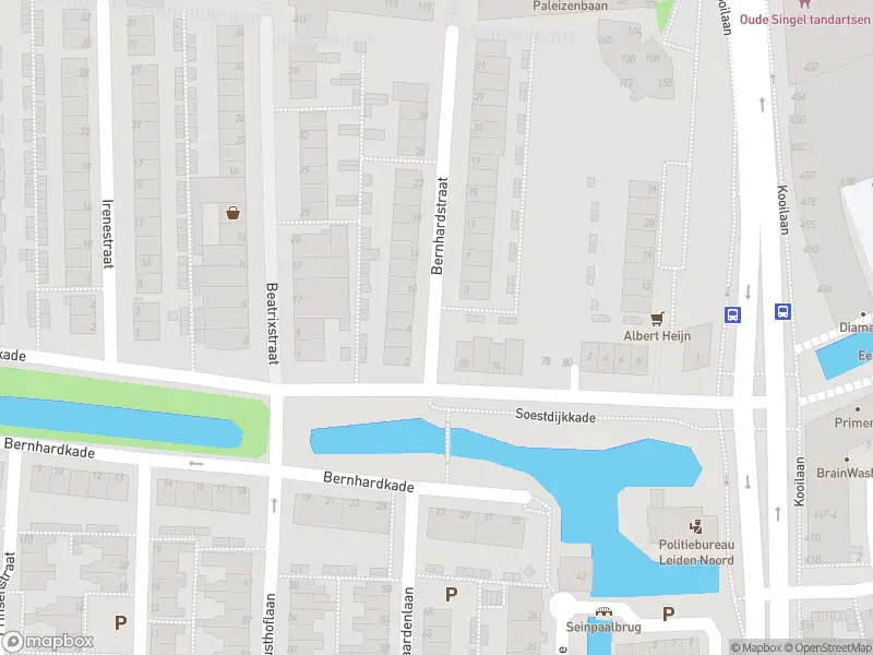 Ambulance met gepaste spoed naar de Bernhardstraat in Leiden