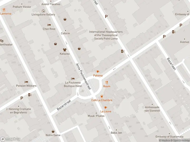 Ambulance met grote spoed naar de Anna Paulownaplein in 's-Gravenhage