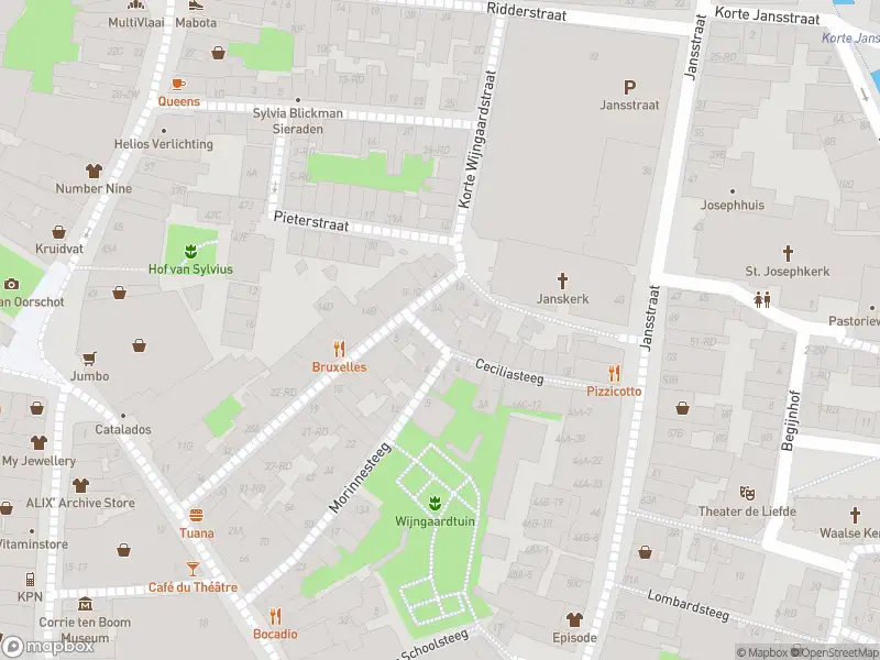 Ambulance en brandweer met grote spoed naar de Ceciliasteeg in Haarlem vanwege gebouwbrand