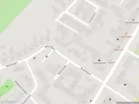 Overlastmelding Boterbloem in Udenhout