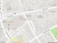 Brandweer met gepaste spoed naar de Rondweg in Bladel