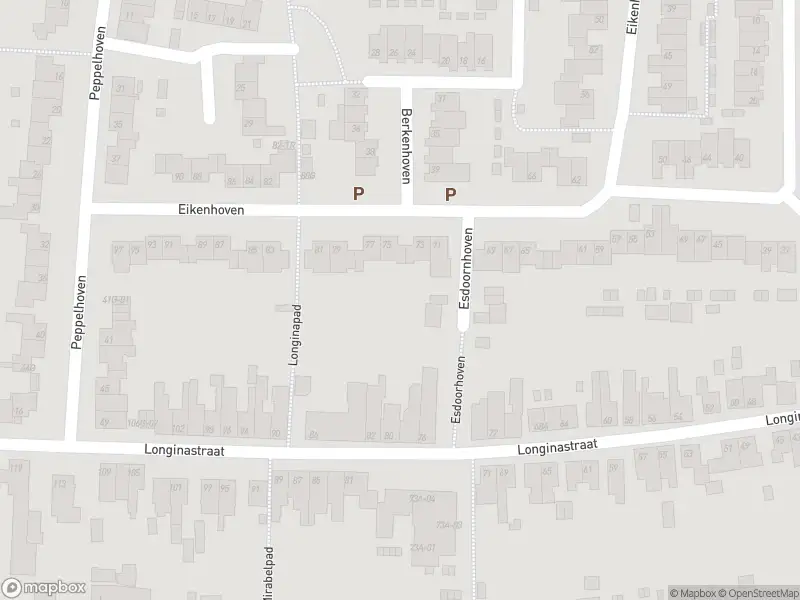 Politie naar de Ambyerstraat Noord in Maastricht vanwege aanrijding met letsel