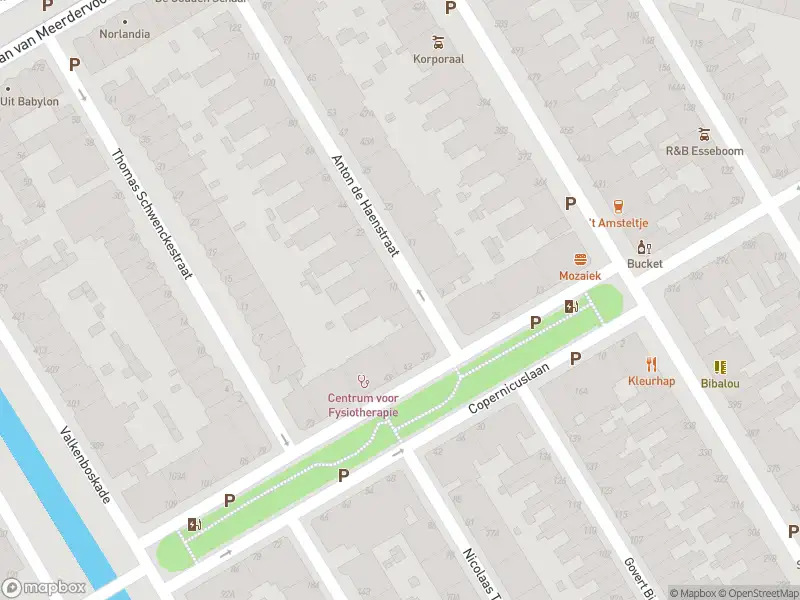 Overlastmelding Anton de Haenstraat in 's-Gravenhage