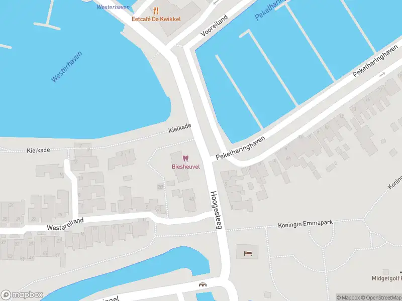 Ambulance met gepaste spoed naar de Hoogesteeg in Medemblik