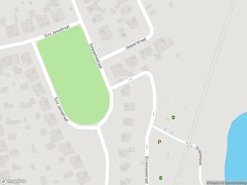 Overlastmelding Seipgensstraat in Geleen