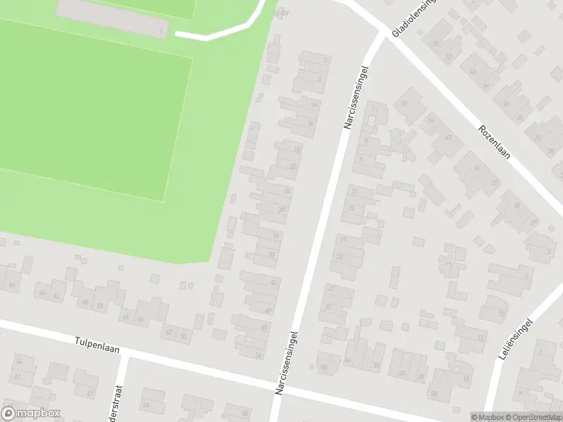 Overlastmelding Narcissensingel in Geleen gesloten