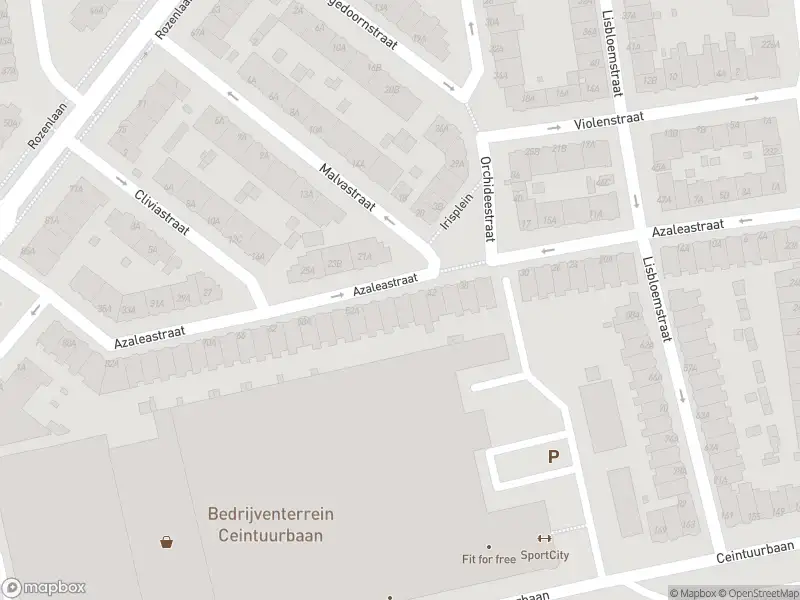 Ambulance met grote spoed naar de Azaleastraat in Rotterdam