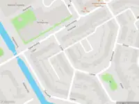 Overlastmelding Koolmees in Hoorn