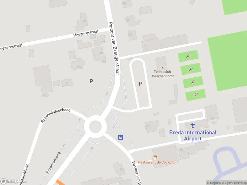 Overlastmelding Pastoor van Breugelstraat in Bosschenhoofd