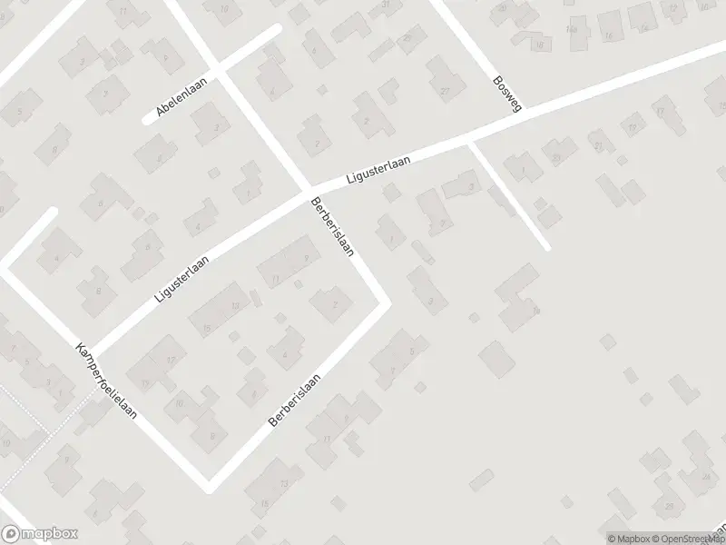 Ambulance met gepaste spoed naar de Berberislaan in Oostvoorne