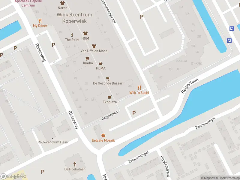 Ambulance met gepaste spoed naar de Reigerlaan in Capelle aan den IJssel