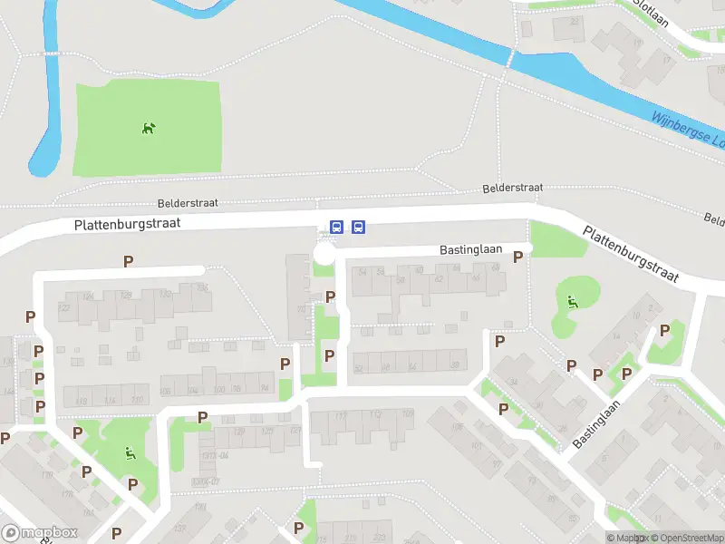 Overlastmelding Bastinglaan in Doetinchem