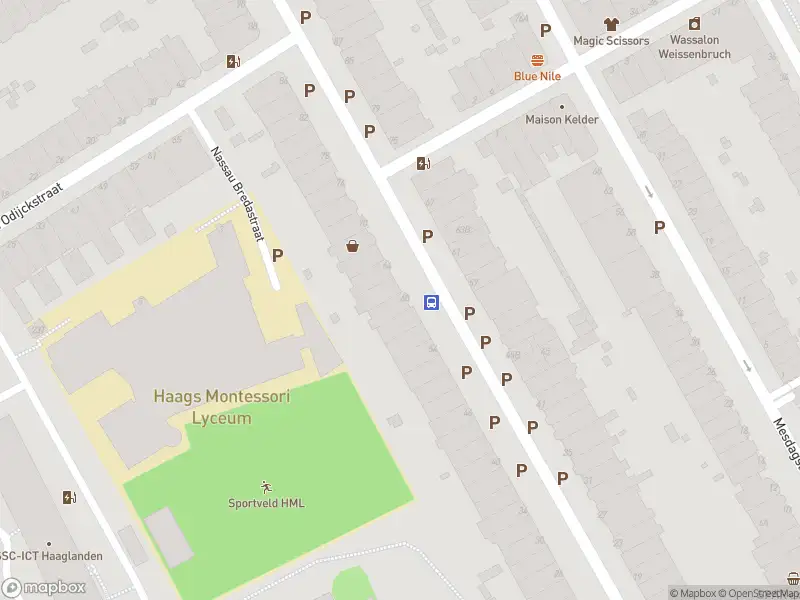 Brandweer met gepaste spoed naar de Nassau Dillenburgstraat in 's-Gravenhage