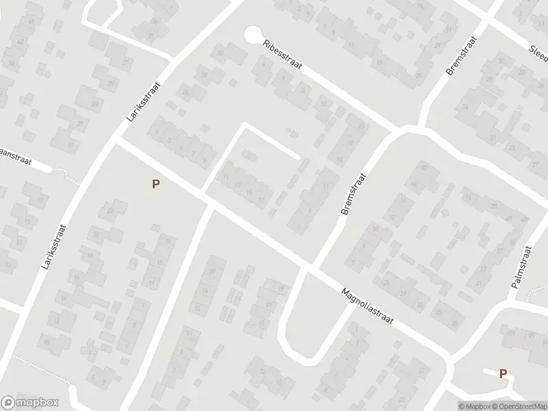 Overlastmelding Magnoliastraat in Echt