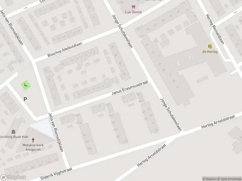 Brandweer met gepaste spoed naar de Janus Erasmiusstraat in Tiel