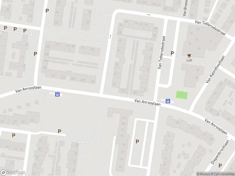 Overlastmelding Van Anrooylaan in Tilburg