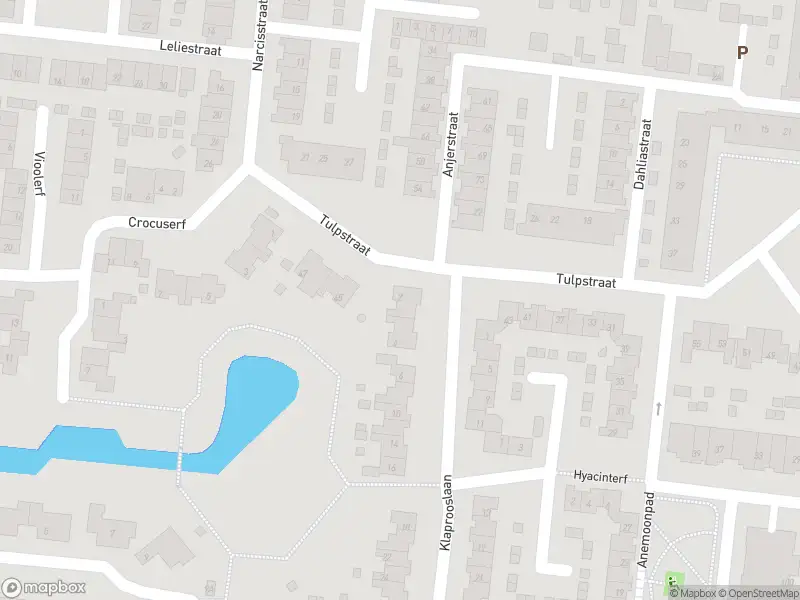 Ambulance naar de Klaprooslaan in 's-Gravendeel