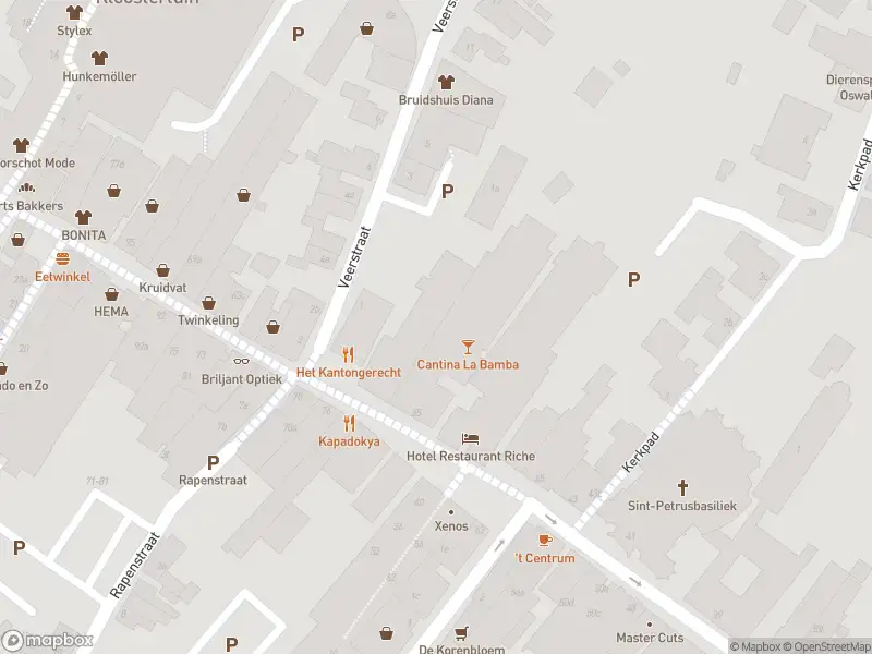 Brandweer met gepaste spoed naar de Veerstraat in Boxmeer