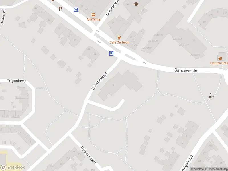 Brandweer met gepaste spoed naar de Belemnieterf in Heerlen