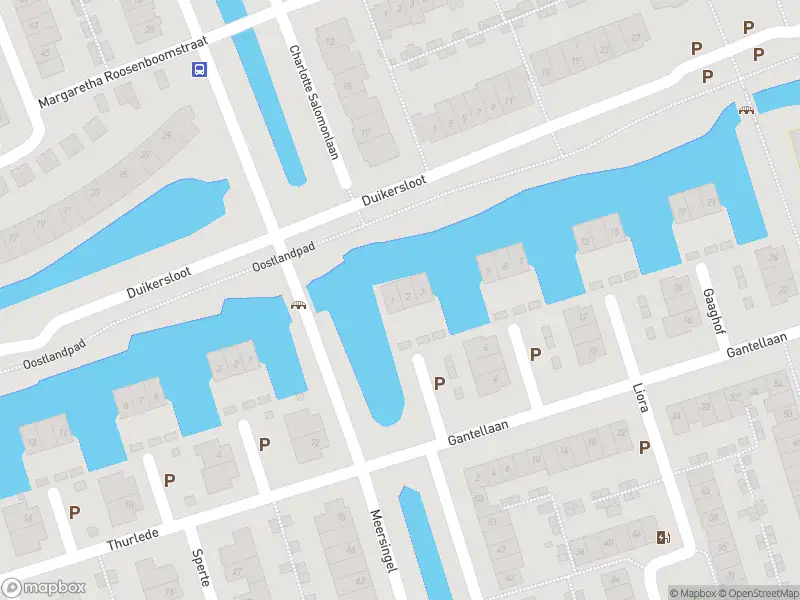 Ambulance met grote spoed naar de Gaaghof in Pijnacker