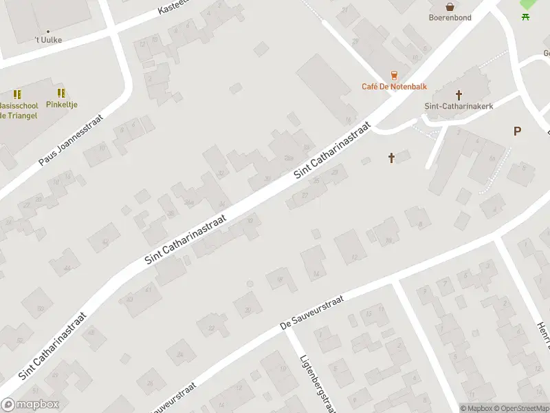 Brandweer met gepaste spoed naar de De Sauveurstraat in Ulestraten