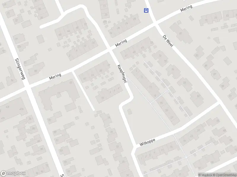 112 melding Overlastmelding Kaapfeugel in Hippolytushoef