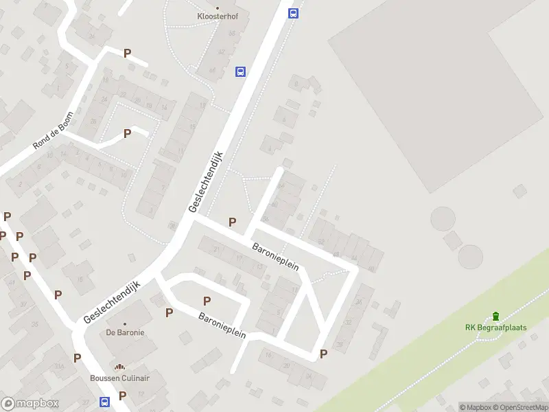 Overlastmelding Baronieplein in Sint Jansteen gesloten