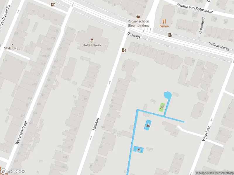 Ambulance met grote spoed naar de Hoflaan in Rotterdam