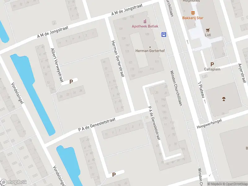 Ambulance met gepaste spoed naar de Herman Gorterstraat in Spijkenisse