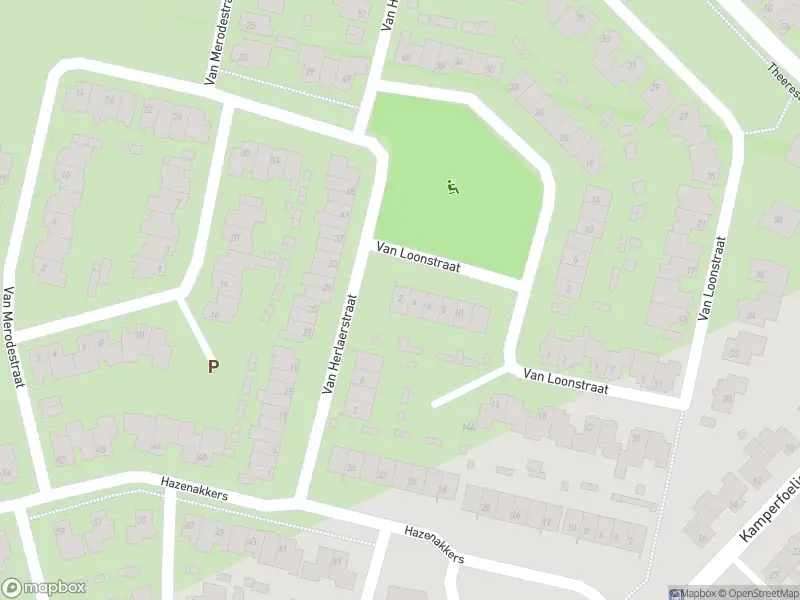 Overlastmelding Van Loonstraat in Sint-Michielsgestel gesloten