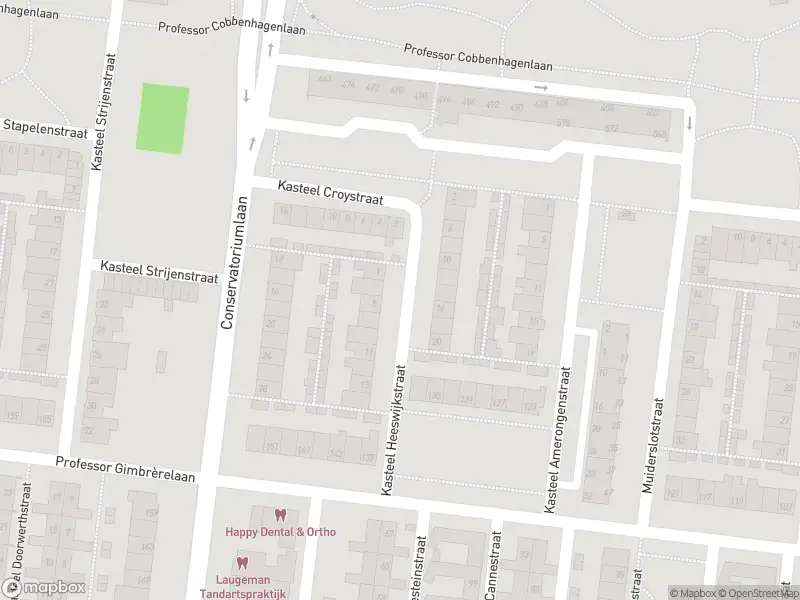 Overlastmelding Kasteel Brederodestraat in 5037HG Tilburg