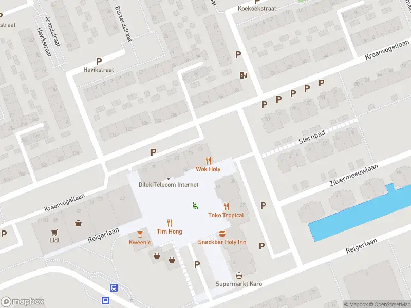 Ambulance naar de Kraanvogellaan in Vlaardingen