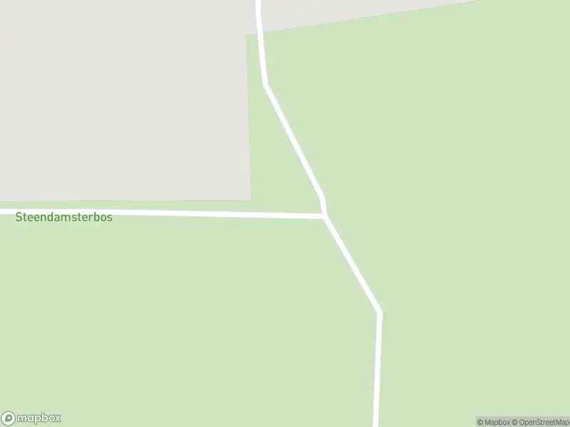 Brandweer met grote spoed naar de Damsterweg in Steendam vanwege waarnemen gaslucht