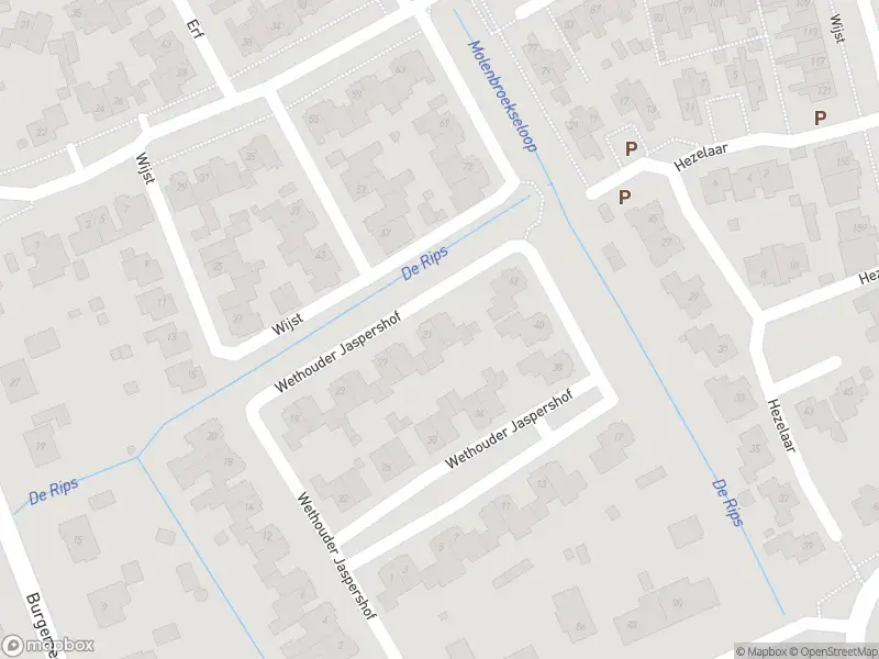 Overlastmelding Burgemeester Rietmanstraat in 5421JX Gemert