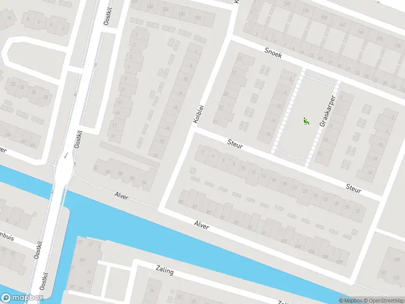 Ambulance met grote spoed naar de Steur in Papendrecht