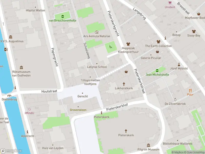 Brandweer met grote spoed naar de Lokhorststraat in Leiden