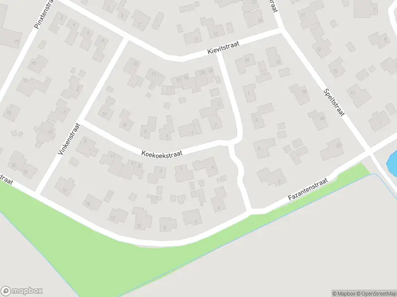 Ambulance met grote spoed naar de Koekoekstraat in Haler