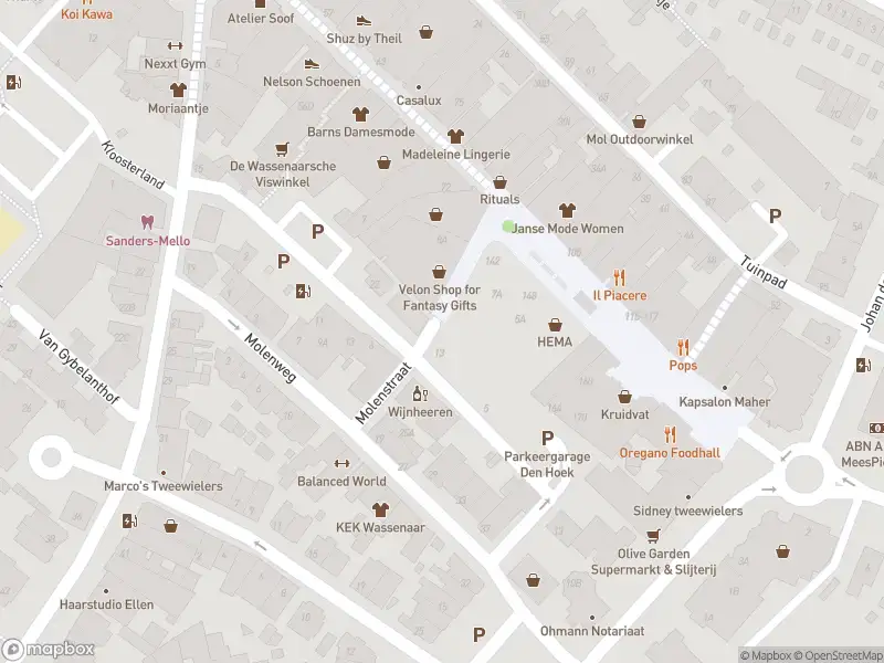 Ambulance met grote spoed naar de Molenstraat in Wassenaar