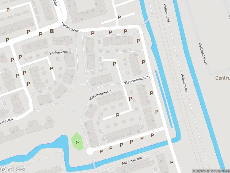 Ambulance met grote spoed naar de Vleermuiszoom in Pijnacker