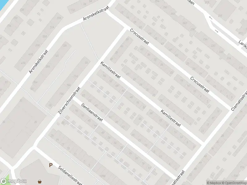 Ambulance met grote spoed naar de Kamillestraat in Rotterdam