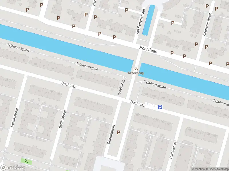 Overlastmelding Bachlaan in Oud-Beijerland