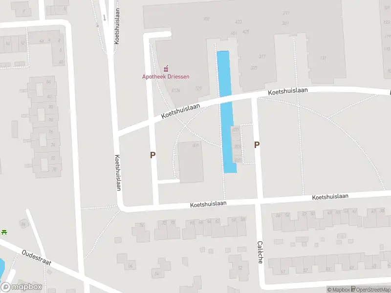 Overlastmelding Koetshuislaan in Waalwijk