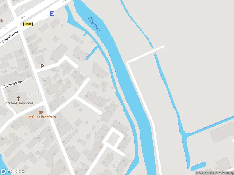 Brandweer met gepaste spoed naar de Kerkvaartsweg in Aarlanderveen