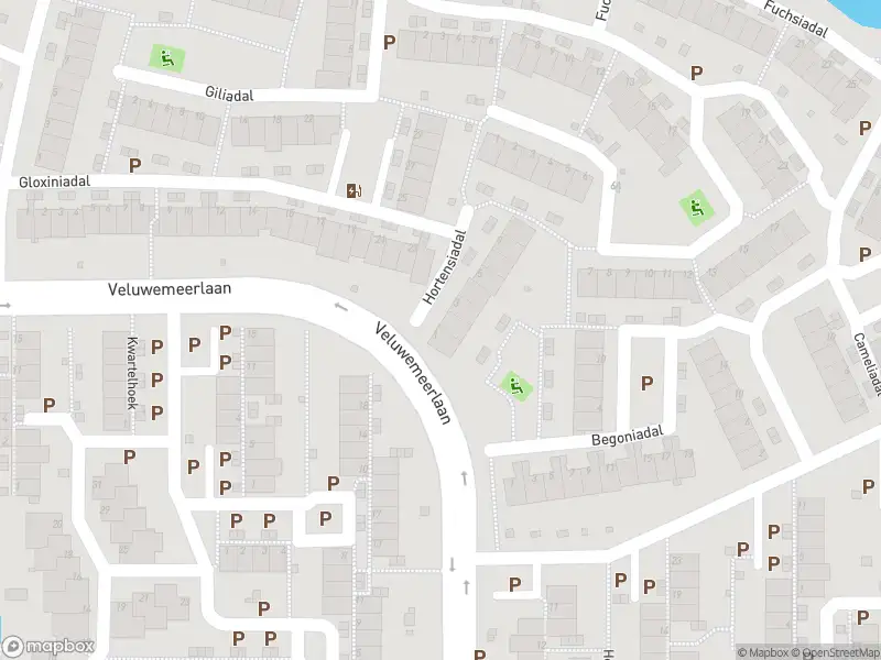 Ambulance met gepaste spoed naar de Hortensiadal in Leiden