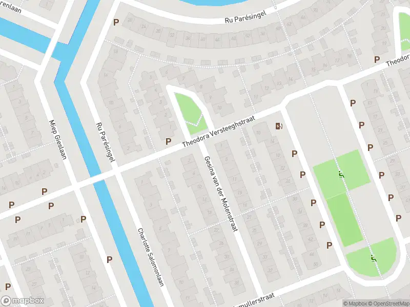 Ambulance met grote spoed naar de Gesina van der Molenstraat in Pijnacker