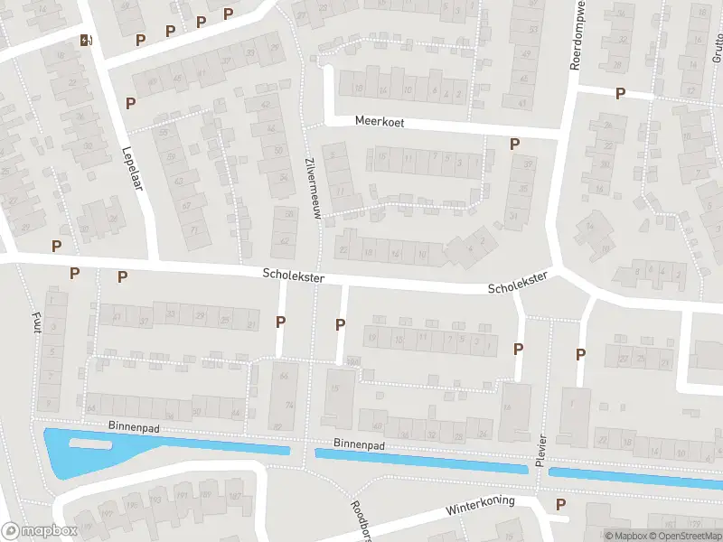 Overlastmelding Scholekster in Oud-Beijerland