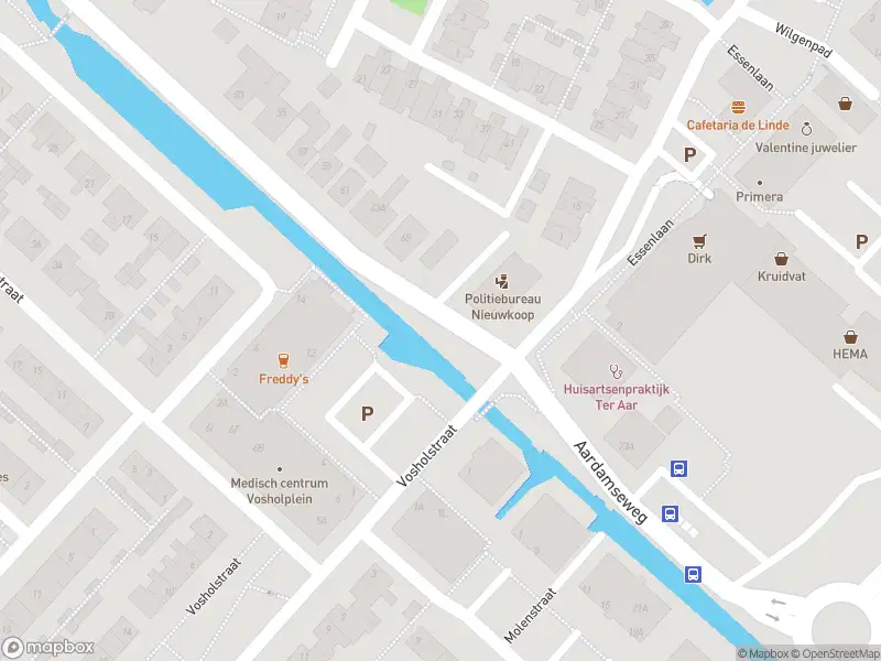 Ambulance met gepaste spoed naar de Hoogerheijdestraat in Ter Aar